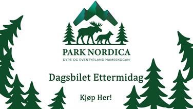 Image for: Dagsbillett ettermiddag